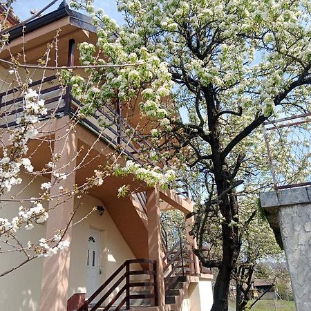 Apartmani Ostojic Vrdnik Εξωτερικό φωτογραφία