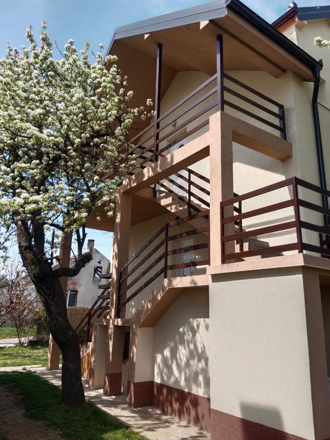 Apartmani Ostojic Vrdnik Εξωτερικό φωτογραφία